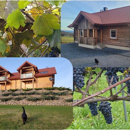 Fantastic View Vineyard Beskid Mountains Gruszow  外观 照片