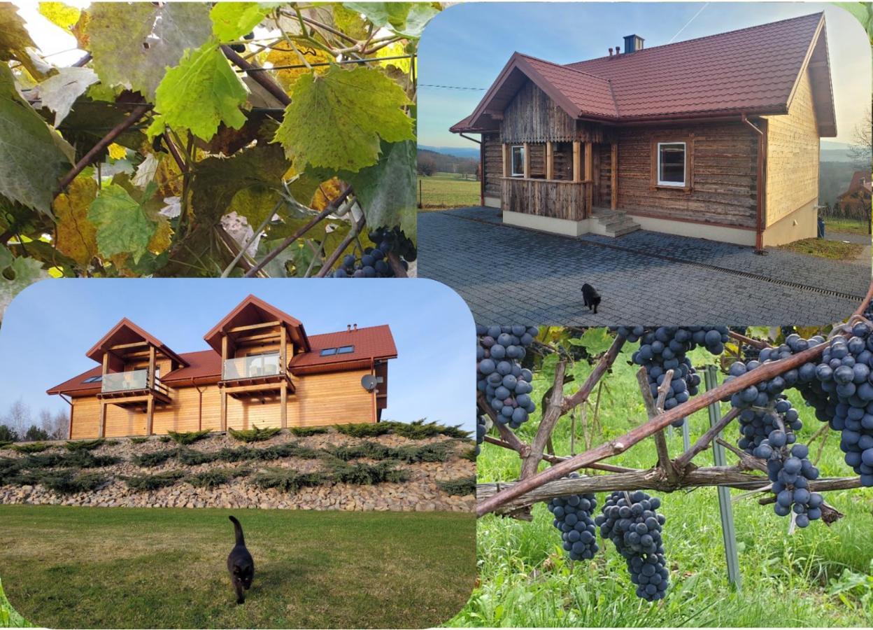 Fantastic View Vineyard Beskid Mountains Gruszow  外观 照片