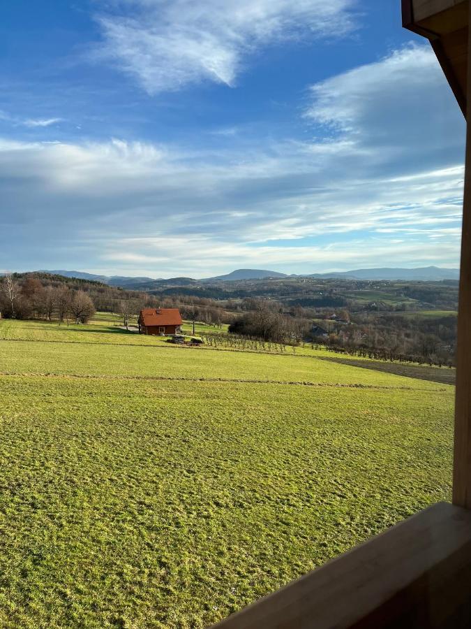 Fantastic View Vineyard Beskid Mountains Gruszow  外观 照片