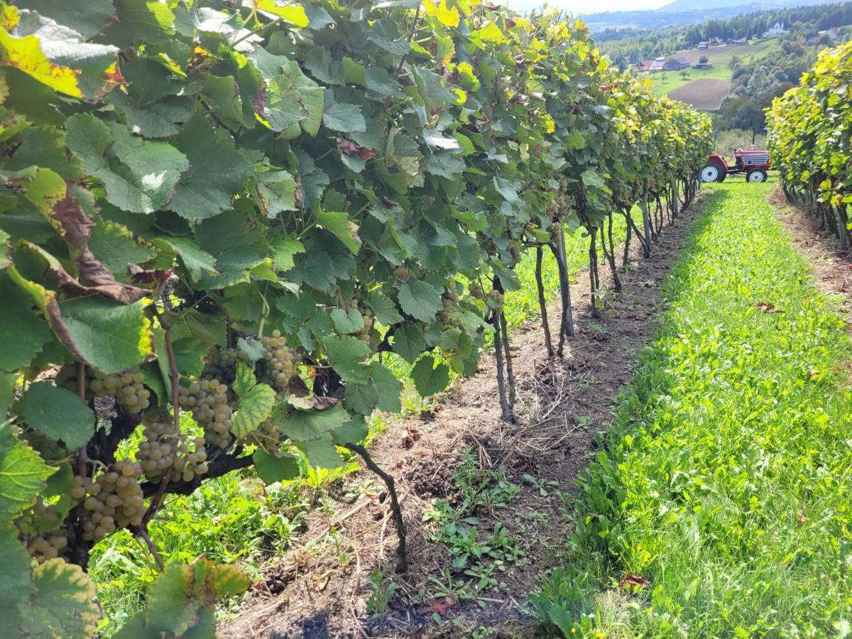 Fantastic View Vineyard Beskid Mountains Gruszow  外观 照片