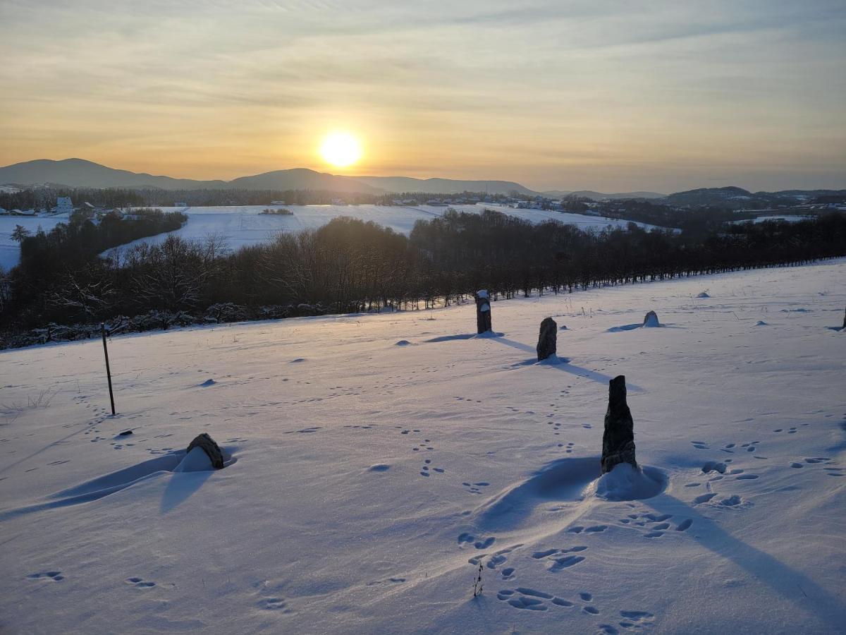 Fantastic View Vineyard Beskid Mountains Gruszow  外观 照片