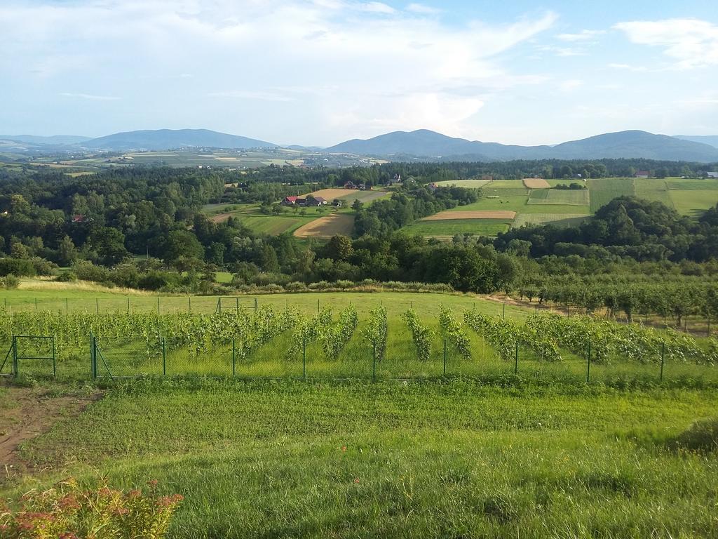 Fantastic View Vineyard Beskid Mountains Gruszow  外观 照片