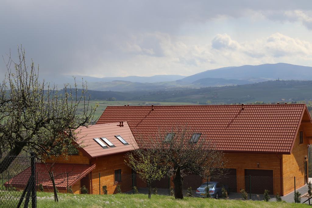 Fantastic View Vineyard Beskid Mountains Gruszow  外观 照片